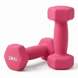Relaxdays Hanteln 2er Set Gusseisen Pink
