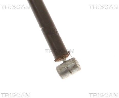 Triscan Motorhaubenzug 8140 11612 Für Bmw