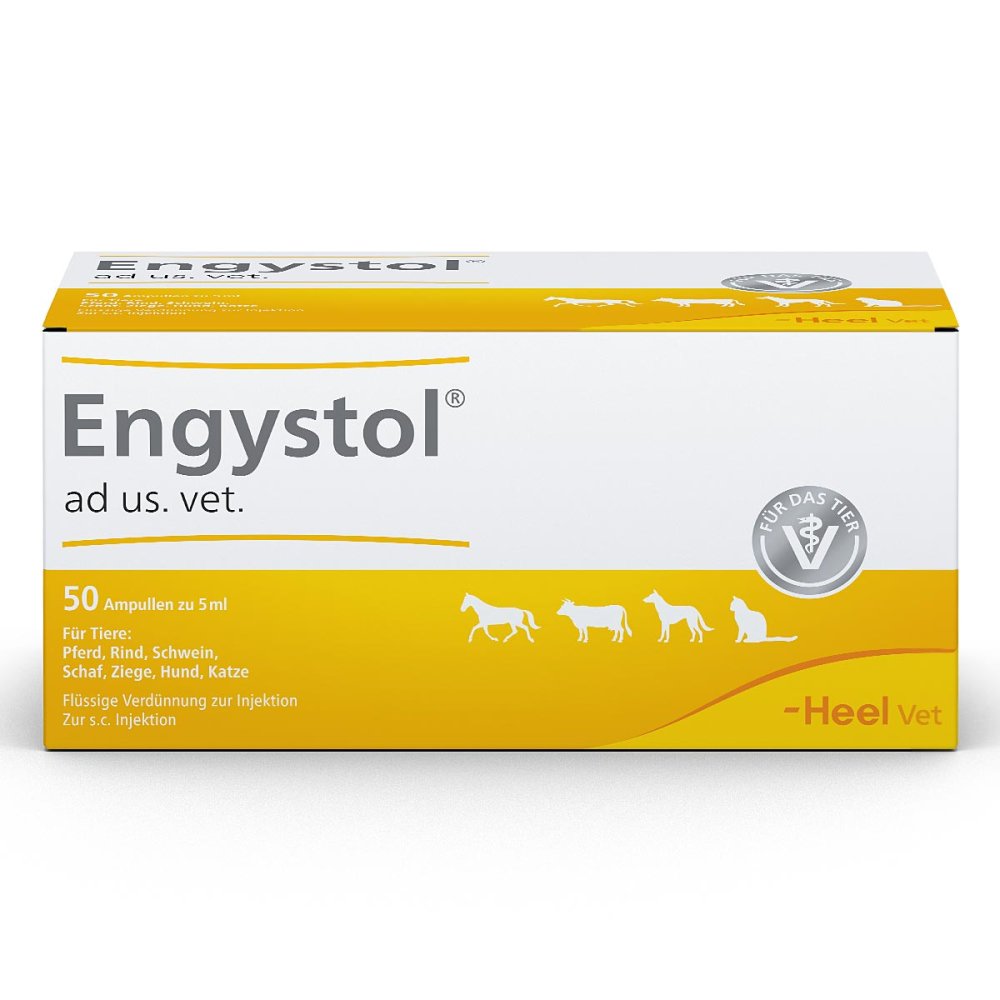 Biologische Heilmittel Heel GmbH Engystol ad usus vet.Ampullen 02585068