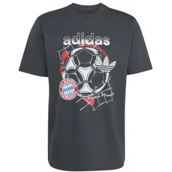 adidas FC Bayern München Seasonal Grafik T-Shirt Herren - grau -