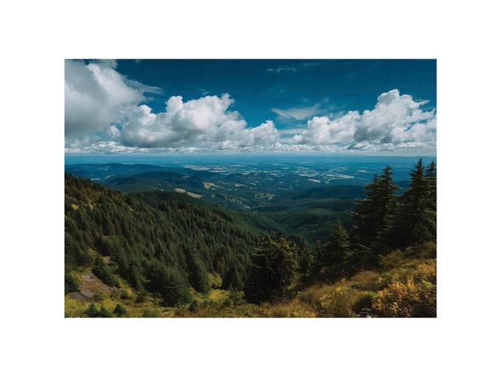 FOTOTAPETE Landschaft Wald Blau 300x210 cm