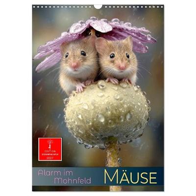 Mäuse - Alarm im Mohnfeld (Wandkalender 2027 DIN A3 hoch), CALVENDO Monatskalender