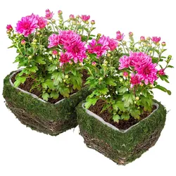 Natura Punto, Blumentopf, 2er-Set Übertöpfe oder Dekoschalen aus Naturmaterialien