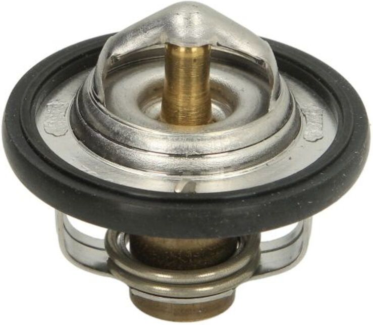 Thermostat TOURMAX TMT-301