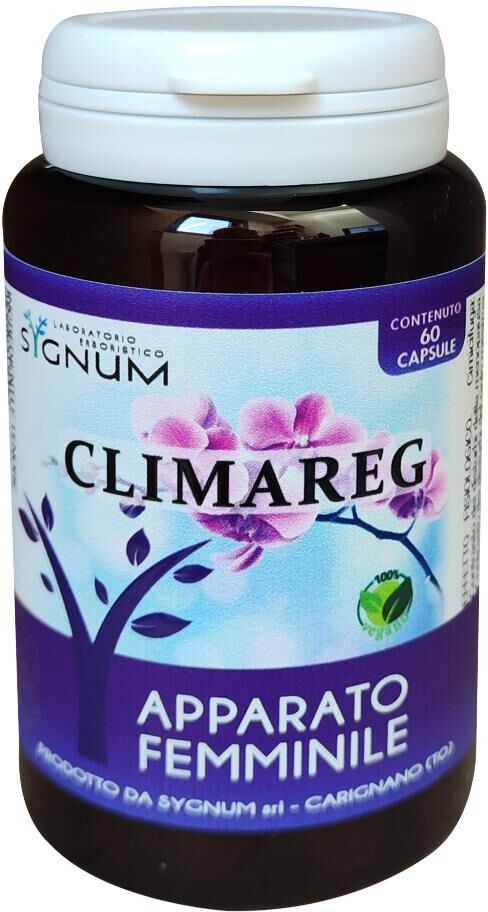 SYGNUM srl CLIMAREG 60CPS