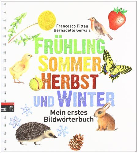Francesco Pittau - Frühling, Sommer, Herbst und Winter -: Mein erstes Bildwörterbuch - Preis vom 09.10.2026 07:28:09 h
