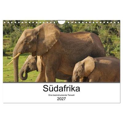 Südafrika - Eine beeindruckende Tierwelt (Wandkalender 2027 DIN A4 quer), CALVENDO Monatskalender