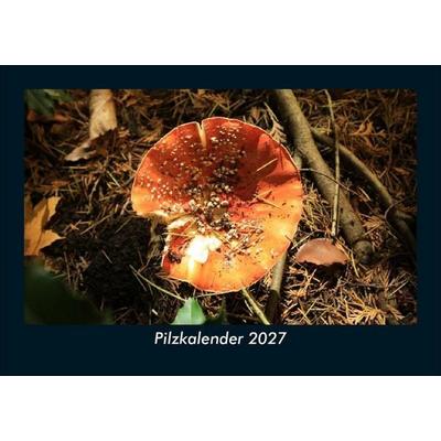 Pilzkalender 2027 Fotokalender DIN A5