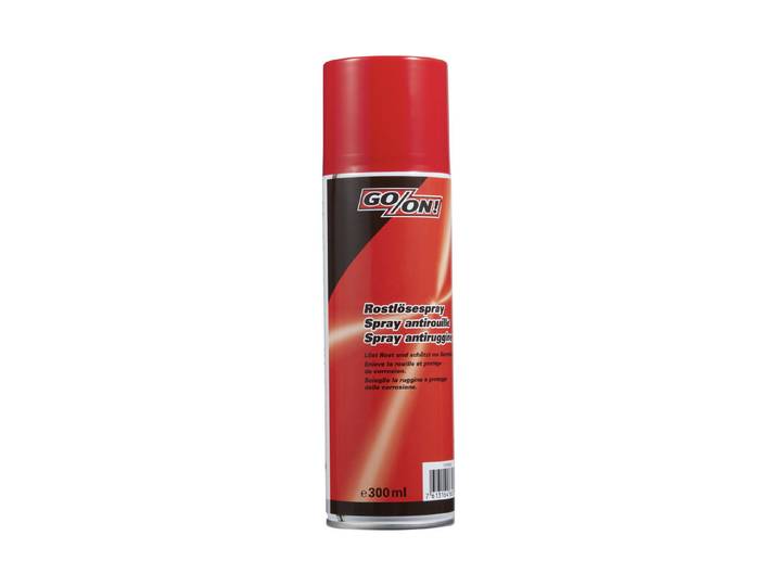 Go On Rostlösespray 300 ml