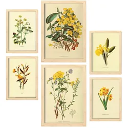 POSTER Set Mit 6 Gelbe Blumen 2 In Vintage A3 & A4 Rahmen Aus Hellem Holz
