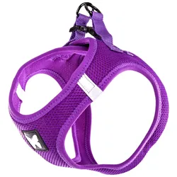 Martin Sellier Netzgeschirr für Hunde (3XS, Hund), Halsband + Leine
