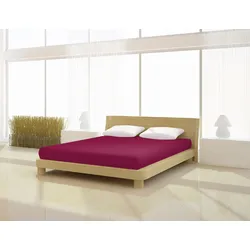 Mr. Sandman Spannbetttuch Jersey classic 180 - 200 x 200 cm