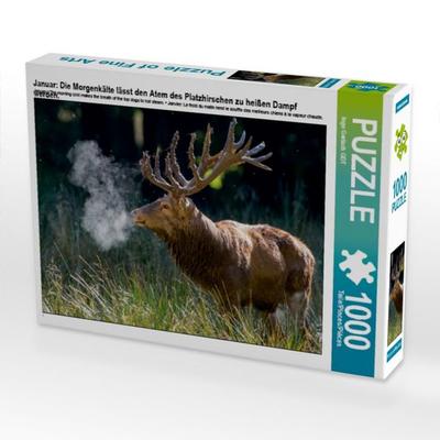 CALVENDO Puzzle Januar: Die Morgenkälte lässt den Atem des Platzhirschen zu heißen Dampf werden. | 1000 Teile Lege-Größe 64x48cm Foto-Puzzle für