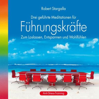 Führungskräfte: Drei geführte Meditationen für Führungskräfte - Robert Stargalla, Audio, 9783893215379