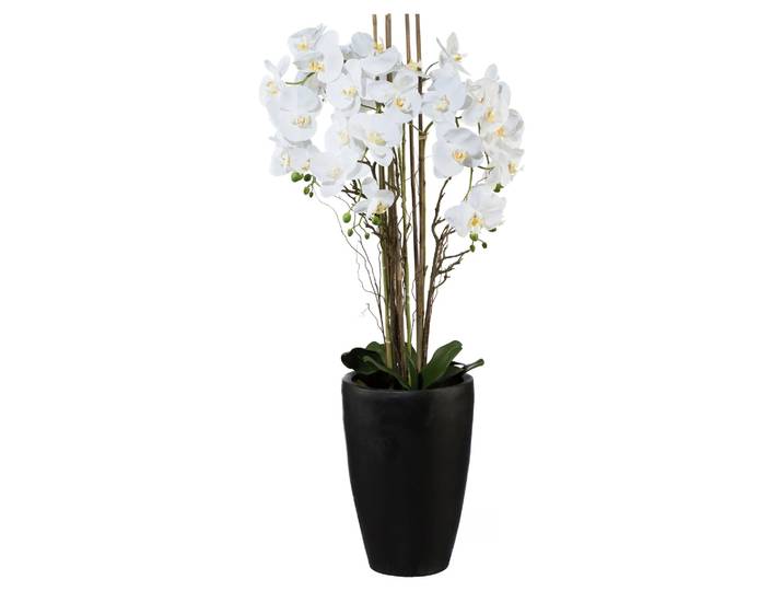 Orchideenpflanze weiss Vase Dunkelbraun Gasper / Grösse: x cm