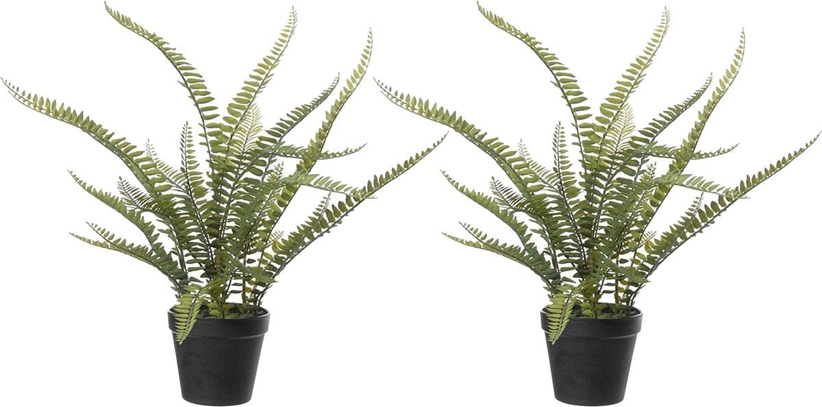 Louis Maes Varen Nephrolepis Kunstplant - Groen - 2 stuks - 50 cm