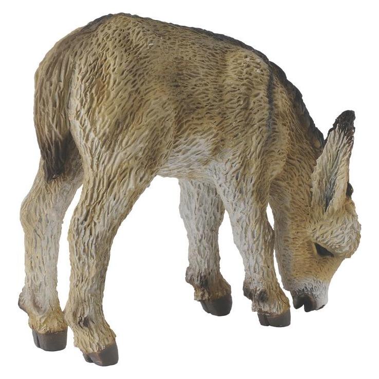 Collecta Eselfohlen - Grasend (S) (88408)