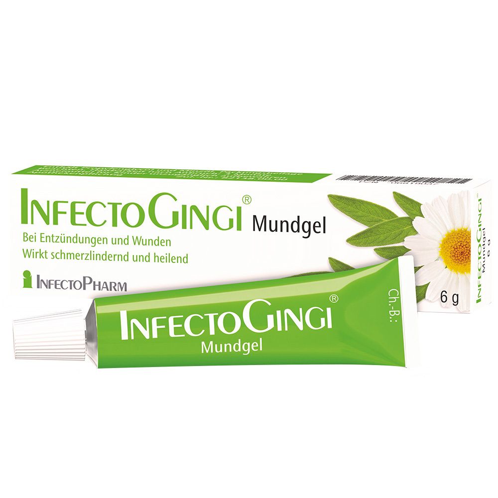 Infectogingi Mundgel 6 g Gel