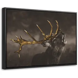LEINWAND Bilder mit Rahmen - Rotwild - Schwarz - Gold - 60x40