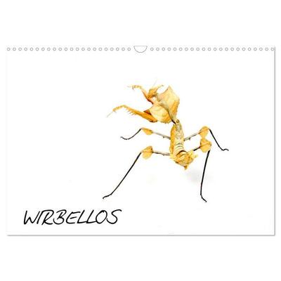 WIRBELLOS (Wandkalender 2026 DIN A3 quer), CALVENDO Monatskalender