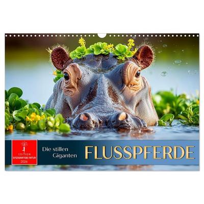 Flusspferde - die stillen Giganten (Wandkalender 2026 DIN A3 quer), CALVENDO Monatskalender