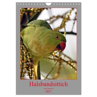Halsbandsittich (Wandkalender 2027 DIN A4 hoch), CALVENDO Monatskalender