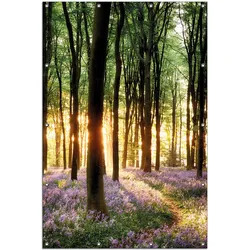 Wallario Gartenposter ca. 80 x 120 cm Blaue Hasenglöckchen im Wald mit Sonnenstrahlen