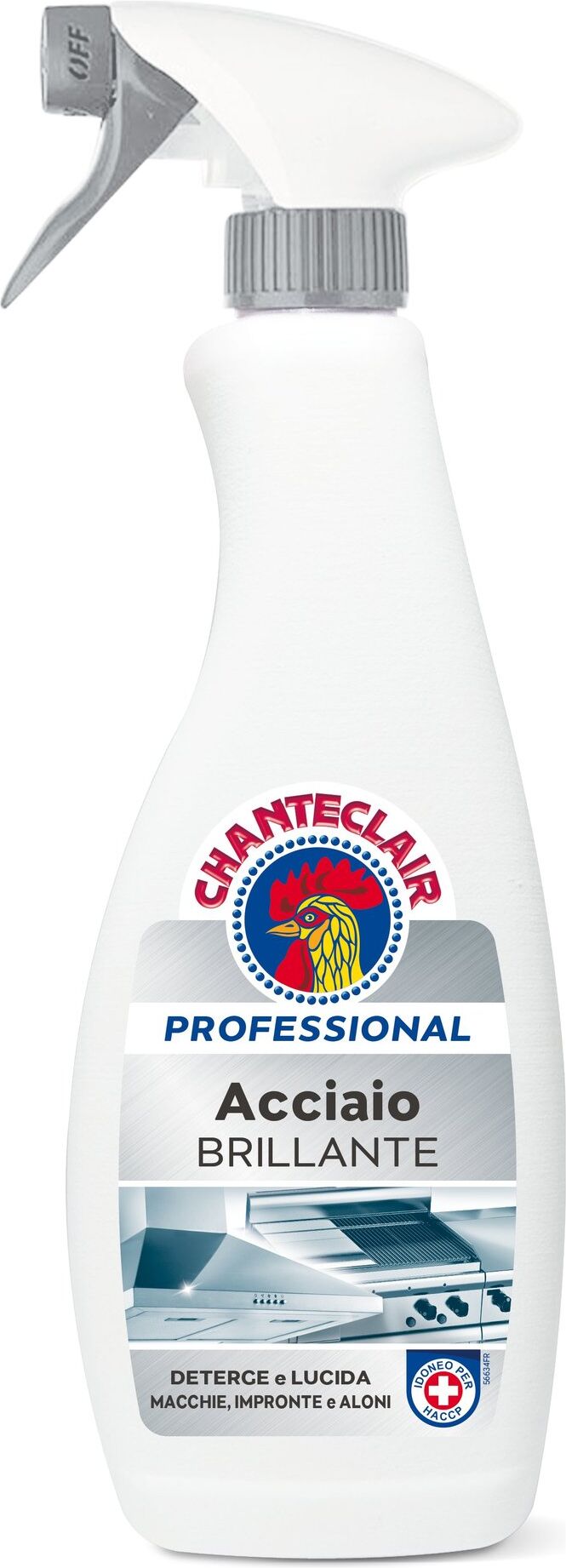 Detergente inox Chanteclair 603L20IT PROFESSIONAL spray Acciaio Brilla