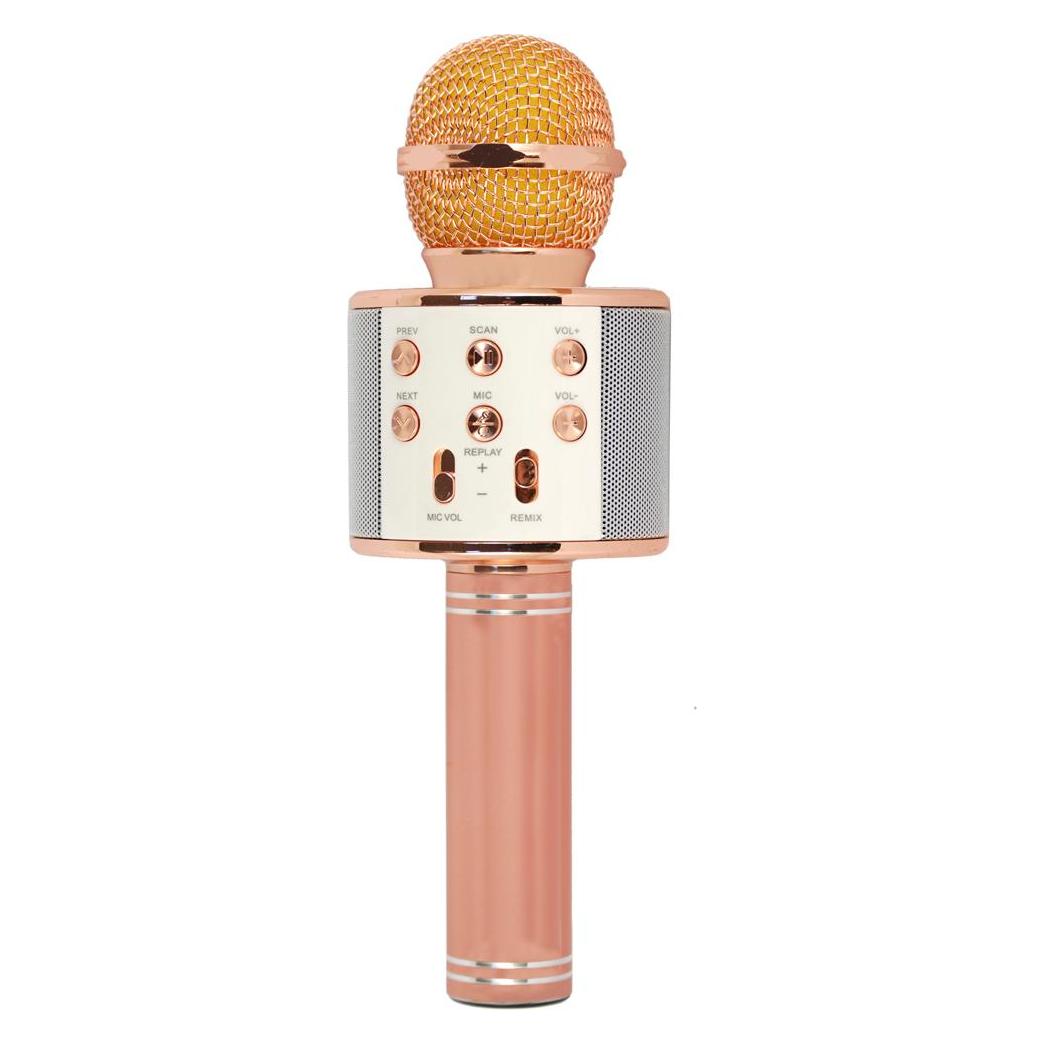 Xtreme Hollywood Rose Gold, Silber Karaoke-Mikrofon (27837PK)