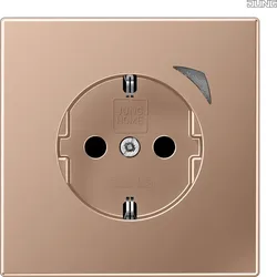 Jung BT BRG 1521 SE-L JUNG HOME SCHUKO® Steckdose Energy 16 A 250V ~