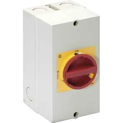 Kraus&amp;Naimer Not-Ausschalter KG20B.T206/40.KL11V