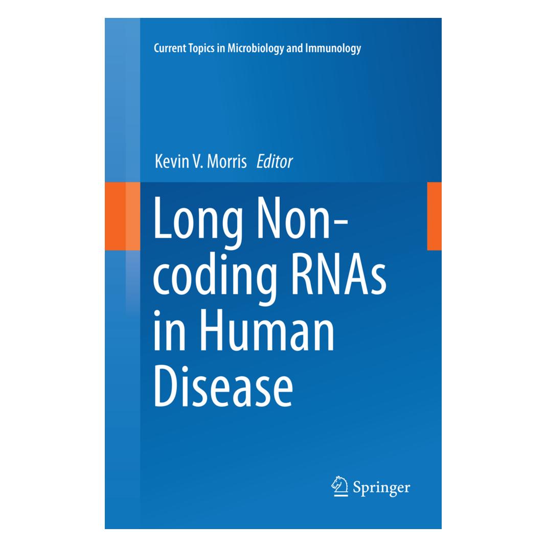Springer Long Non-coding RNAs in Human Disease (Englisch, Softcover, Kevin V. Morris) (56007260)