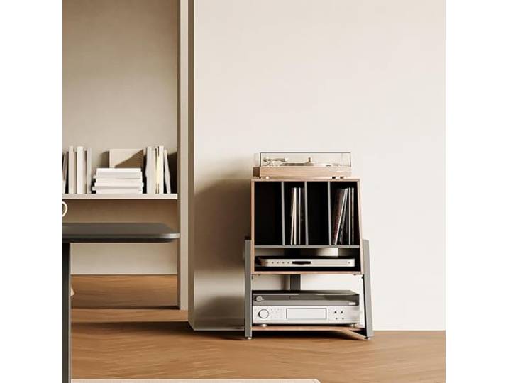 Medienschrank, Plattenständer mit Metallrahmen und Aufbewahrung für Studio Robuster Metallrahmen, Platzsparendes Vertikales Design, Moderne Wohnkultur, Aufnahmestudio