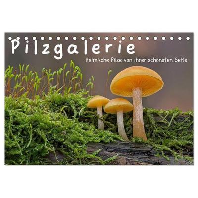 Pilzgalerie - Heimische Pilze von ihrer schönsten Seite (Tischkalender 2027 DIN A5 quer), CALVENDO Monatskalender