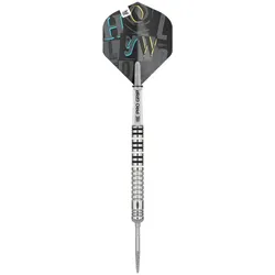 Target Chris Dobey 90% Steeldarts