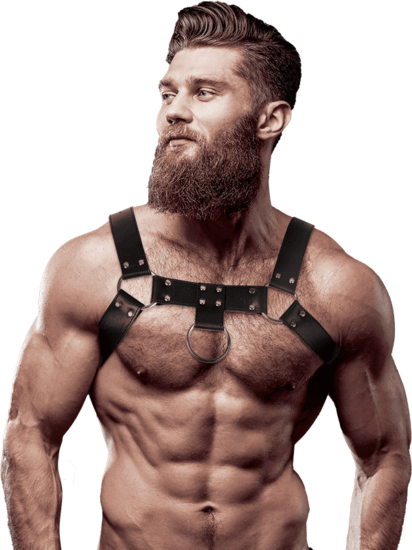 FETISH SUBMISSIVE ATTITUDE HARNAIS POITRINE EN CUIR ÉCOLOGIQUE POUR HOMMES