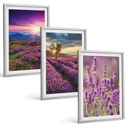 BILDER SET 3er Set - 40x60 cm Silberner Rahmen - Sonnenuntergang auf Lavendelfeldern