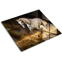 GLASPLATTE 60x52 cm Schimmel im Stall