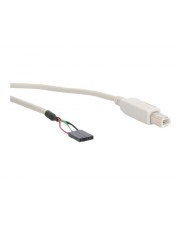 InLine USB-Kabel intern auf extern 4-Pin-USB 2.0-Header W bis USB Typ B M 40 cm beige (33440D)