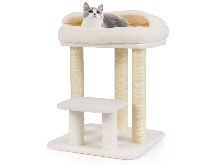 Kleine Krabpaal voor Huiskatten Katten Toren met Gezellige Pluche Bovenligplaats Wit