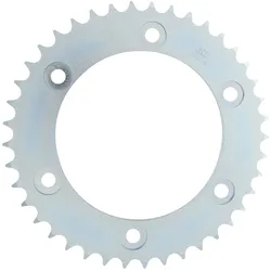 RK Kettenrad 5010 42 Zähne