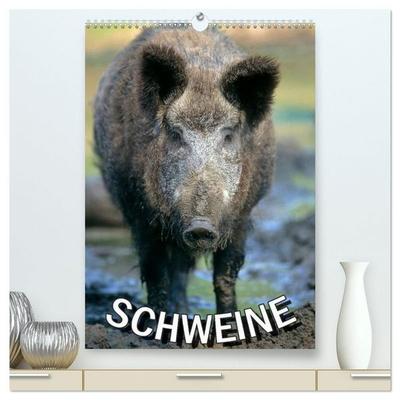 Schweine 2027 (hochwertiger Premium Wandkalender 2027 DIN A2 hoch), Kunstdruck in Hochglanz