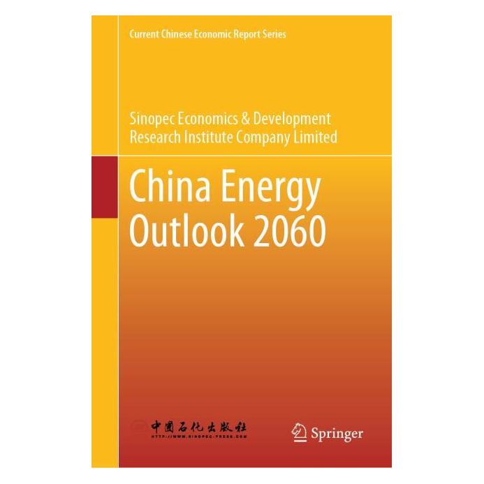 Springer China Energy Outlook 2060 (Englisch, Hardcover) (60795582)