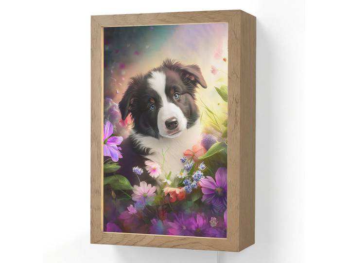 OnlyWow Wandleuchte - Welpe - Sonne - Blumen - Natur - Border Collie - Hund - 20x30 cm, Violett, Holzwerkstoff, Rechteckig, LED integriert, 20x30x8 cm, Lampen & Leuchten, Innenbeleuchtung, Wandlampe