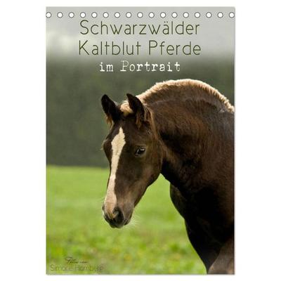 Schwarzwälder Kaltblut Pferde im Portrait (Tischkalender 2027 DIN A5 hoch), CALVENDO Monatskalender