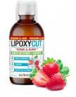 Eric Favre Lipoxycut Perte de Poids Satiété Goût Fraise 500 ML - Bouteille 500 ml