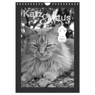 Katz & Maus (Wandkalender 2027 DIN A4 hoch), CALVENDO Monatskalender