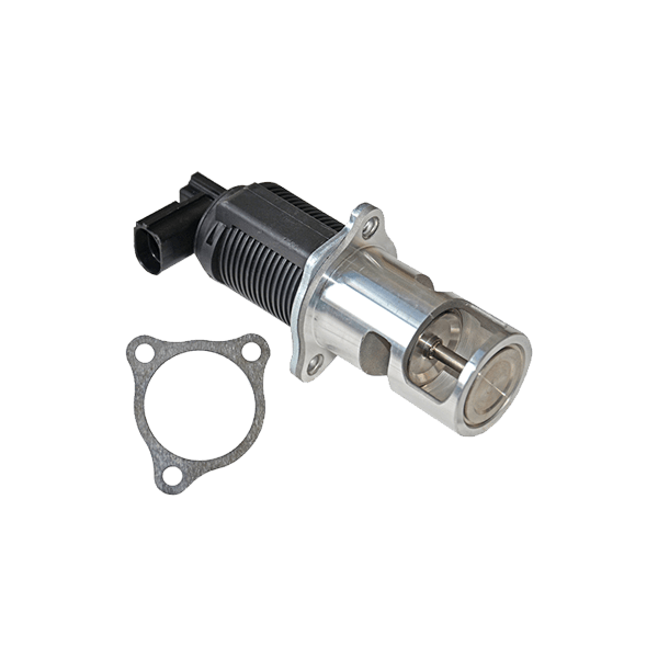 HELLA 6NU 014 864-661 EGR valve