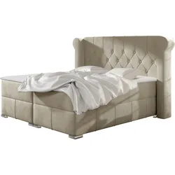 BOXBETT Massimo - H3