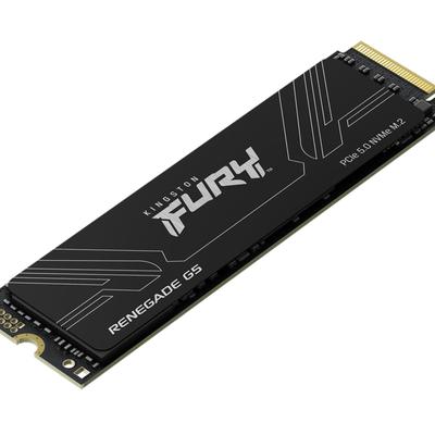 KINGSTON interne SSD "1T FURY RENEGADE G5 M.2 2280 NVMe SSD", schwarz, 1 TB, Festplatten
